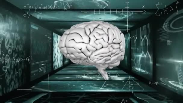 Animering Mänsklig Hjärna Och Databehandling Över Skärmar Bakgrunden Global Vetenskap — Stockvideo