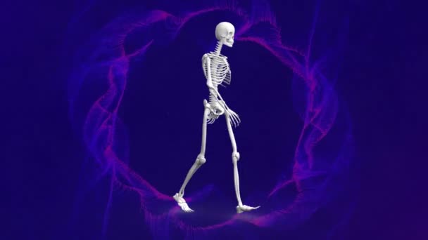 Animation Von Blaulichtspuren Über Skelettwanderungen Globale Wissenschaft Medizin Forschung Computer — Stockvideo