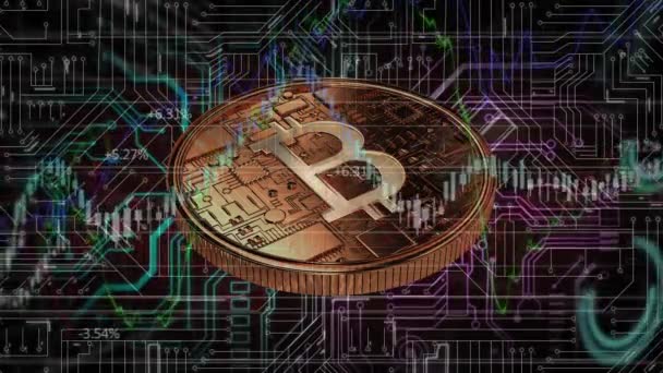 Animasi Pengolahan Data Keuangan Atas Bitcoin Bisnis Global Keuangan Komputasi — Stok Video