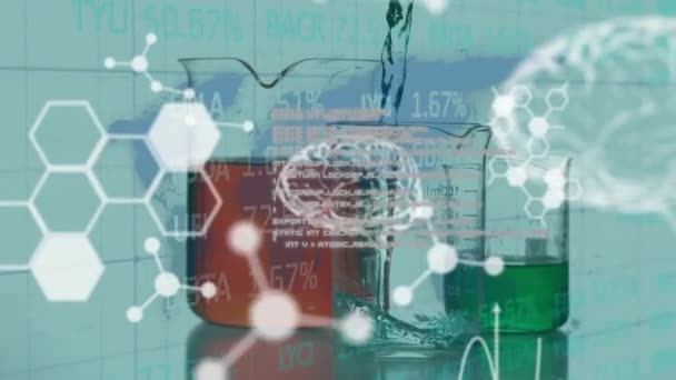 Animace Lidského Mozku Zpracování Vědeckých Údajů Přes Laboratorní Kádinky Globální — Stock video