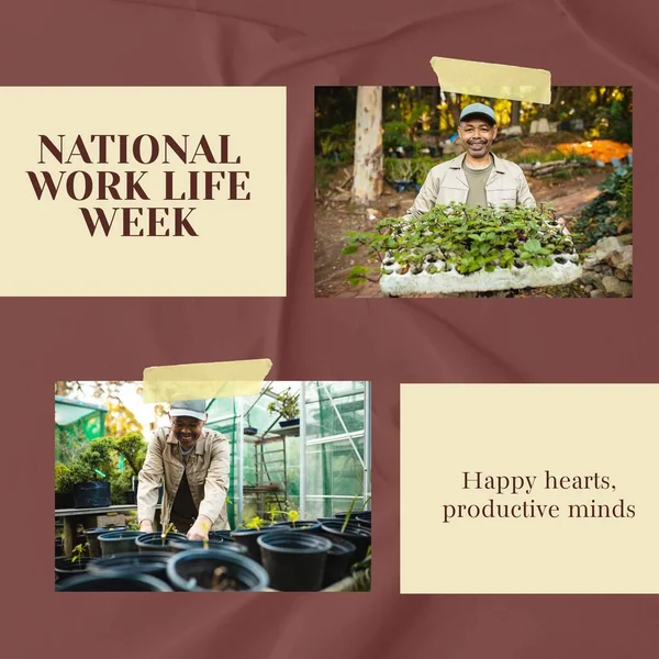 National work life week text with happy biracial holding seedlings and working greenhouse. Work life balance concept, happy hearts, productive minds campaign digitally generated image.
