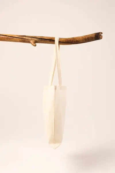 Bílá Plátěná Taška Visící Dřevěné Větve Kopírovacím Prostorem Bílém Pozadí — Stock fotografie