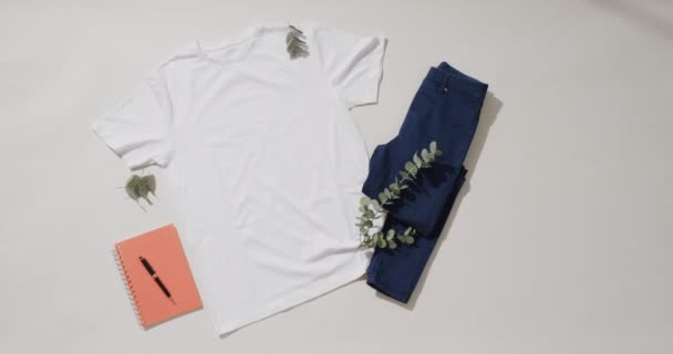 Wideo Płaskim Leżanką Białej Koszuli Jeansowymi Spodniami Notatnikiem Przestrzenią Kopiowania — Wideo stockowe