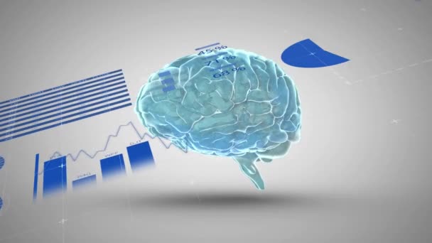 Animation Der Statistischen Datenverarbeitung Über Das Menschliche Gehirn Das Sich — Stockvideo