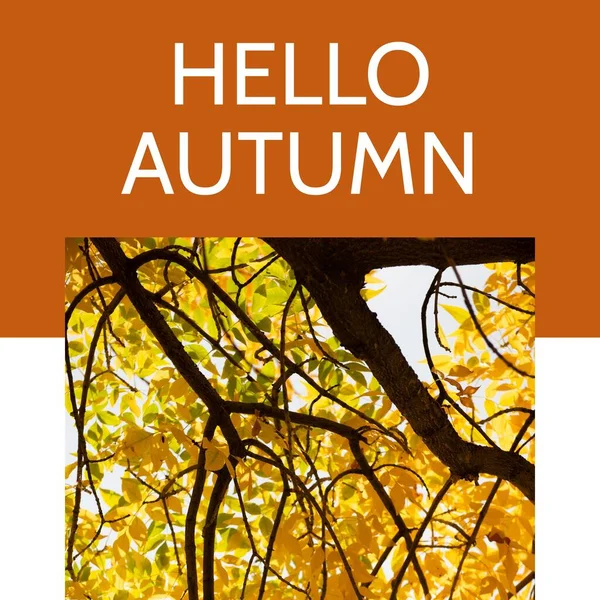 Kompozycja Witaj Jesienny Tekst Nad Jesiennymi Drzewami Koncepcja Jesieni Jesieni — Zdjęcie stockowe