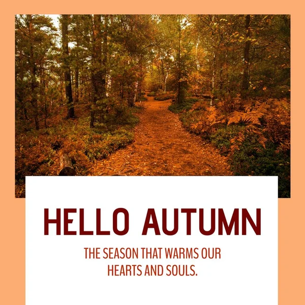 Zusammensetzung Aus Hallo Herbst Text Über Herbst Wald Herbst Herbst — Stockfoto