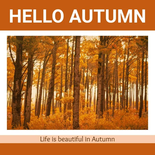 Над Осенними Деревьями Нависает Густой Осенний Текст Осень Осень Времена — стоковое фото