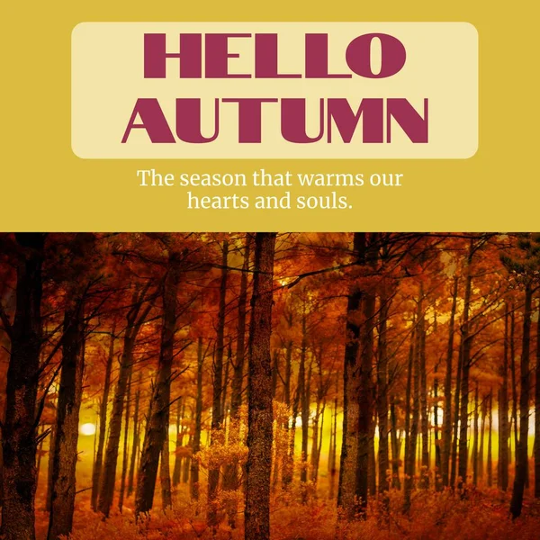 Composto Olá Texto Outono Sobre Floresta Outono Outono Outono Estações — Fotografia de Stock
