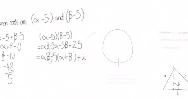 Animering Matematiska Ekvationer Diagram Och Formler Som Flyter Mot Vit — Stockvideo