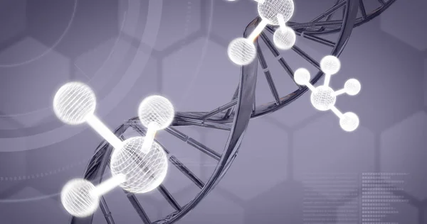 Image Molecules Data Processing Dna Strand Grey Background Science Computing — Stock Photo, Image