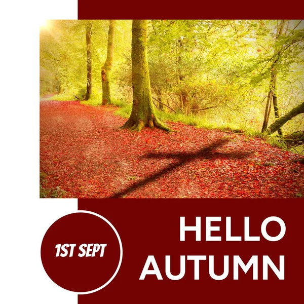 Kompozycja Witaj Jesienny Tekst Nad Jesiennymi Drzewami Koncepcja Jesieni Jesieni — Zdjęcie stockowe