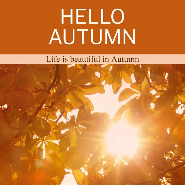 秋树上的复合秋词 秋季和季节概念数字生成的图像 — 图库照片