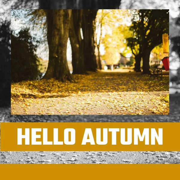 Zusammensetzung Aus Hallo Herbst Text Über Herbstbäumen Herbst Herbst Und — Stockfoto
