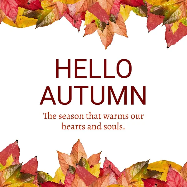秋叶上白色背景上的 你好秋词 季节和自然美的概念数码生成的图像 — 图库照片