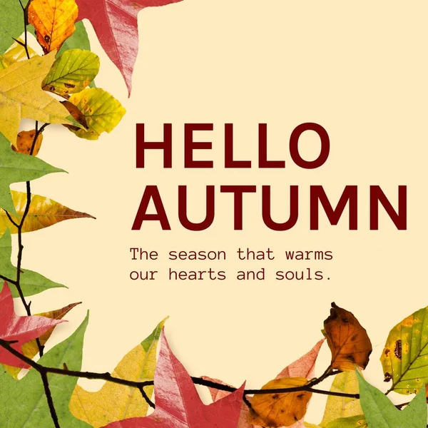 Skládá Ahoj Podzimní Text Přes Podzimní Listy Žlutém Pozadí Podzim — Stock fotografie