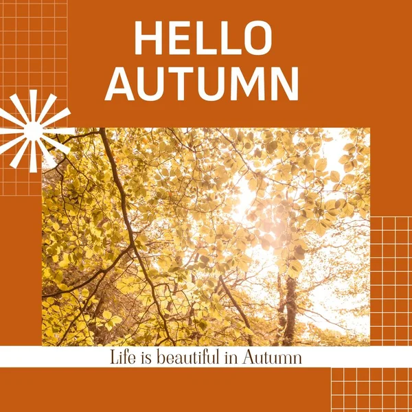 Zusammensetzung Aus Hallo Herbst Text Über Herbstbäumen Herbst Herbst Und — Stockfoto