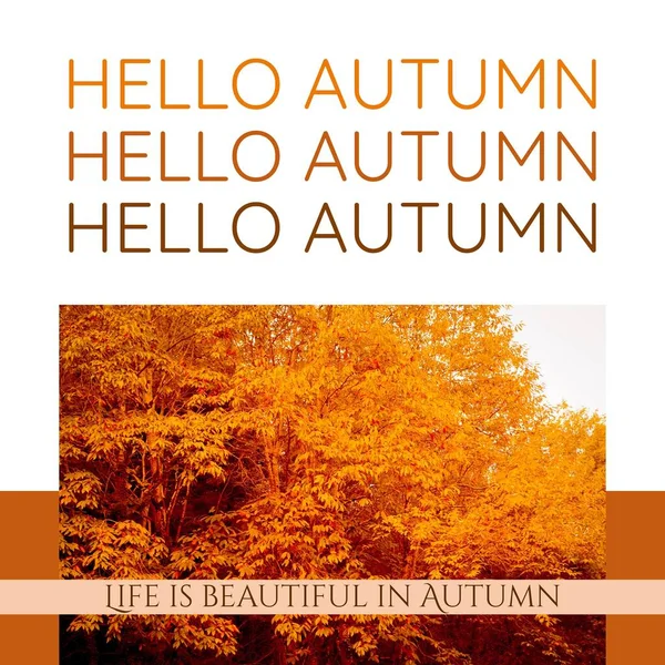 Composto Olá Texto Outono Sobre Árvores Outono Conceito Outono Outono — Fotografia de Stock
