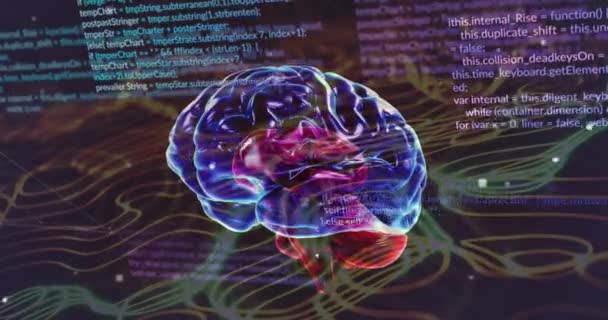 Animacja Ludzkiego Mózgu Przetwarzanie Danych Sieci Połączeń Globalna Sztuczna Inteligencja — Wideo stockowe