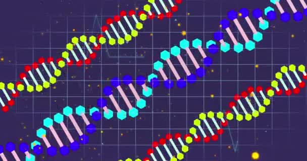 Animation Icons Dna Strands Data Processing Global Science Medicine Research — Stock Video
