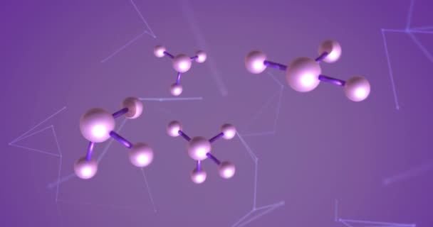 Animación Moléculas Red Conexiones Sobre Fondo Púrpura Concepto Global Ciencia — Vídeos de Stock