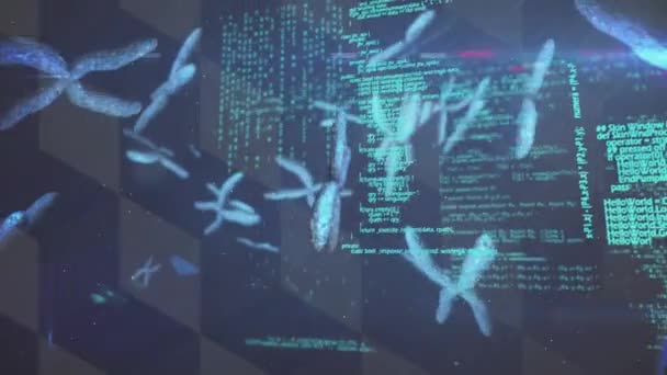 ヌクレオチド コンピュータ言語 および抽象的な背景の上にDnaヘリックスを回転させるアニメーション デジタル生成 ホログラム 解剖学 コーディング ヘルスケア 技術コンセプト — ストック動画