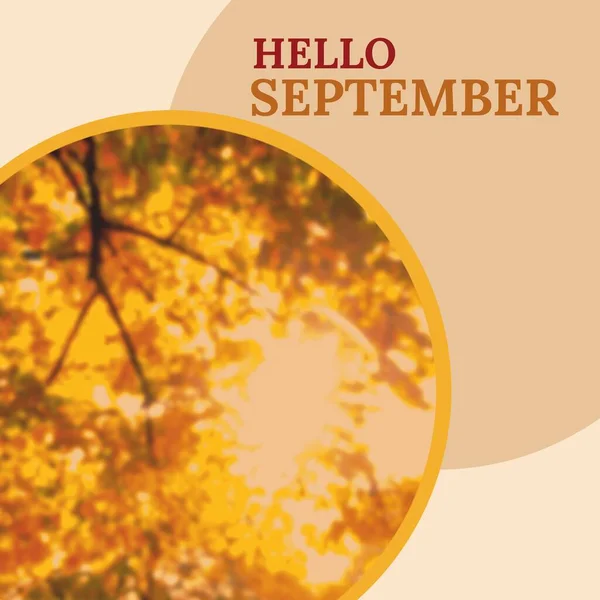 Composto Texto Olá Setembro Sobre Árvores Outono Olá Setembro Outono — Fotografia de Stock