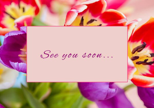Composite See You Soon Text Rechteckform Über Bunte Frische Blumen — Stockfoto