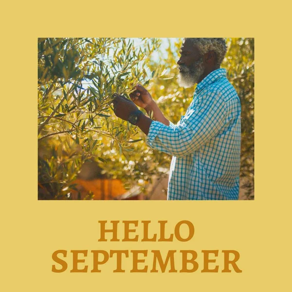 Composto Texto Alô Setembro Sobre Homem Americano Africano Jardim Olá — Fotografia de Stock