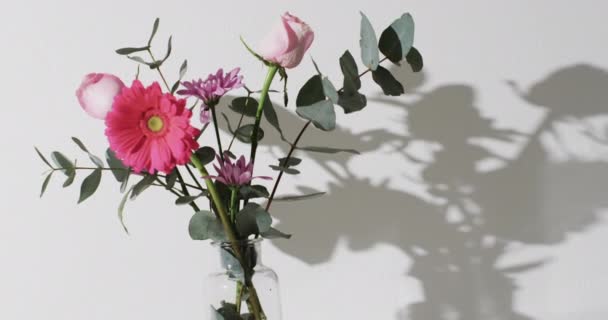 Wideo Różowymi Kwiatami Szklanym Wazonie Miejscem Ksero Białym Tle Kolor — Wideo stockowe