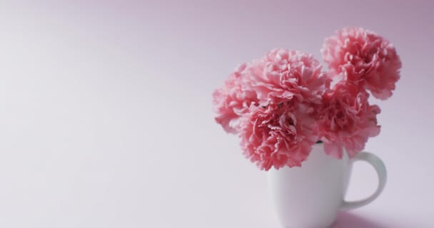 Βίντεο Από Ένα Μάτσο Ροζ Λουλούδια Λευκή Κούπα Και Αντίγραφο — Αρχείο Βίντεο