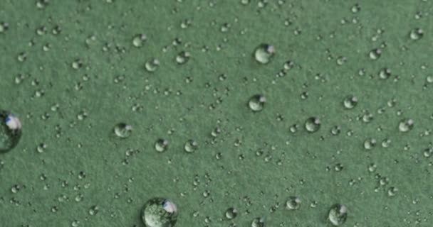 Micro Video Close Water Drops Copy Space Green Background Micro — Stock Video
