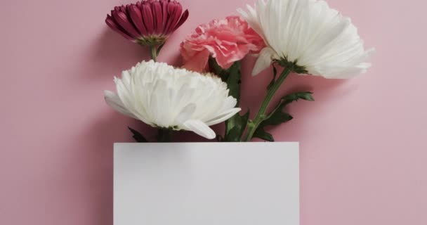 Wideo Czerwonymi Białymi Różowymi Kwiatami Białym Papierem Miejscem Ksero Różowym — Wideo stockowe