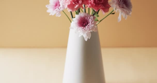 Video Fiori Rosa Vaso Bianco Con Spazio Copia Sfondo Giallo — Video Stock