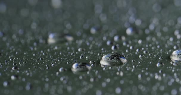Micro Video Close Water Drops Copy Space Grey Background Micro — Stock Video
