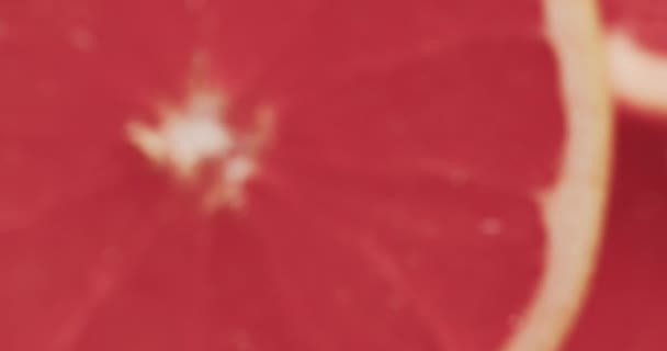 Микровидео Крупного Размера Слайсов Красного Грейпфрута Пространством Копирования Микрофотография Фрукты — стоковое видео