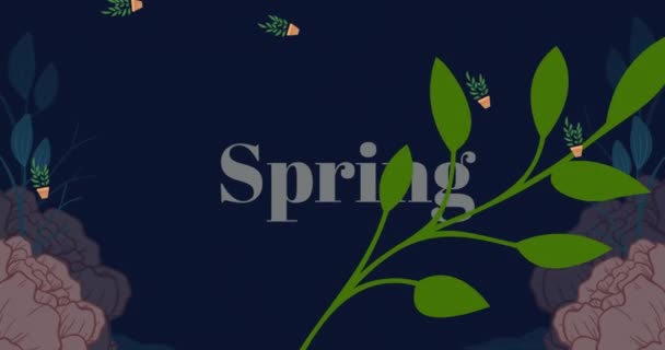 用叶子和春天的文字在黑色背景上勾画出落花的动画效果 数码生成 全息图 种植园 设计和季节概念 — 图库视频影像