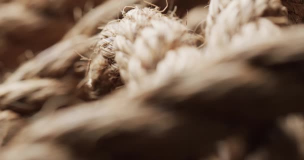 Fotokopi Alanı Olan Kahverengi Ipliklerin Mikro Videosu Mikro Fotoğrafçılık Kumaş — Stok video