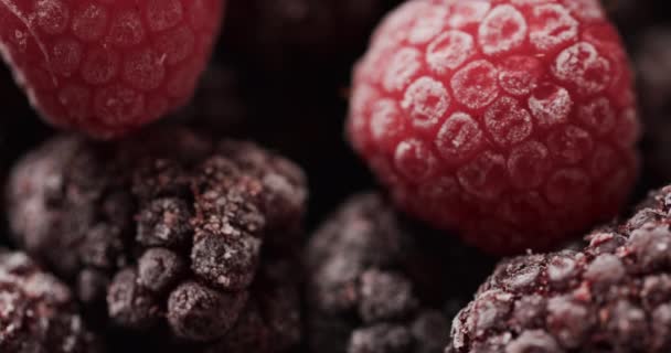 Mikro Videó Közelről Málna Másolási Hely Mikrofotózás Gyümölcs Élelmiszer Textúra — Stock videók