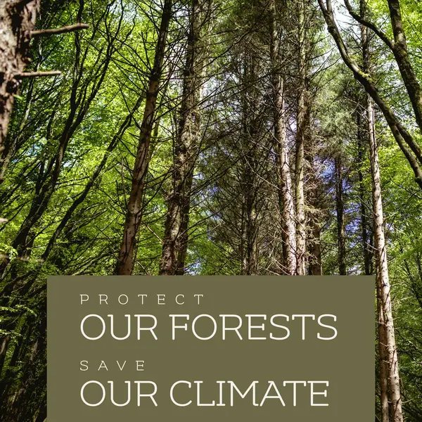 Samengesteld Onze Bossen Beschermen Onze Klimaattekst Hoge Bomen Redden Die — Stockfoto