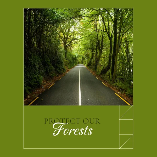 Kompozycja Ochrony Naszych Lasów Tekst Idylliczny Widok Pustej Drogi Przechodzącej — Zdjęcie stockowe