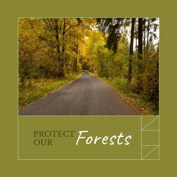 Composite Protéger Nos Forêts Texte Vue Tranquille Route Vide Milieu — Photo