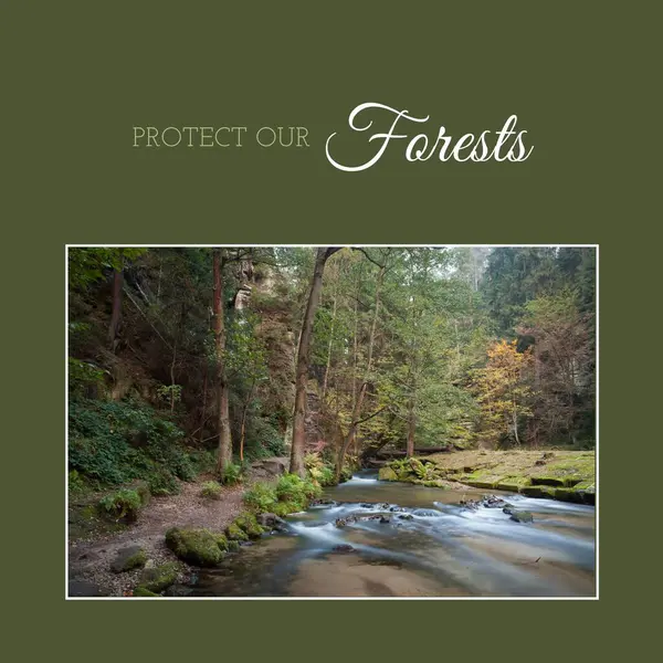 Composite Protéger Nos Forêts Texte Vue Tranquille Sur Rivière Qui — Photo