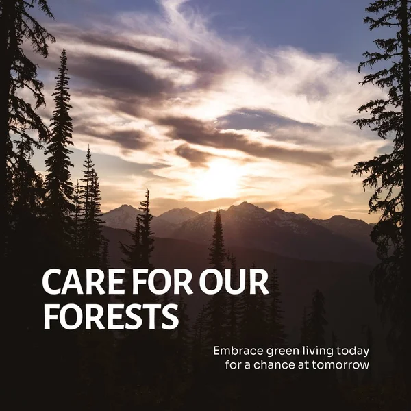 Composite of care for our forests text over beautiful view of mountains and trees. Embrace green living today for a chance at tomorrow, nature, awareness, protection, environmental conservation.