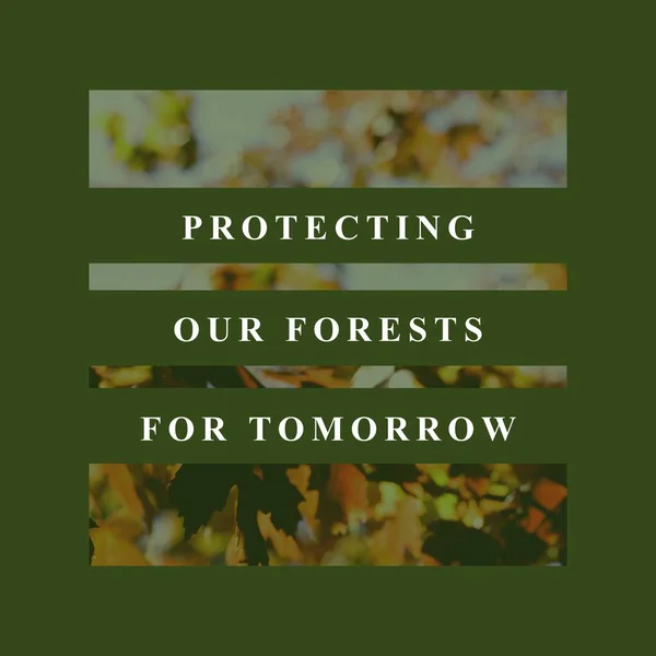 Composite Protection Nos Forêts Pour Demain Texte Sur Les Plantes — Photo