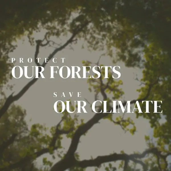 森林を保護し 森の空の下で成長する気候テキストや木々を保存する 環境保全のコンセプト — ストック写真