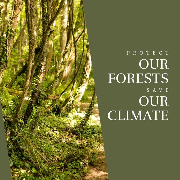 Composto Proteger Nossas Florestas Salvar Nosso Texto Climático Árvores Que — Fotografia de Stock