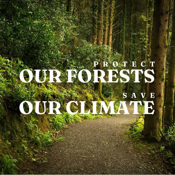 Skládá Ochrany Našich Lesů Šetří Náš Klimatický Text Svěží Stromy — Stock fotografie