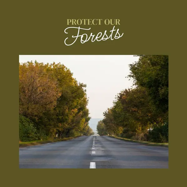 Složen Ochrany Našich Lesů Text Klesající Perspektivu Silnice Mezi Stromy — Stock fotografie