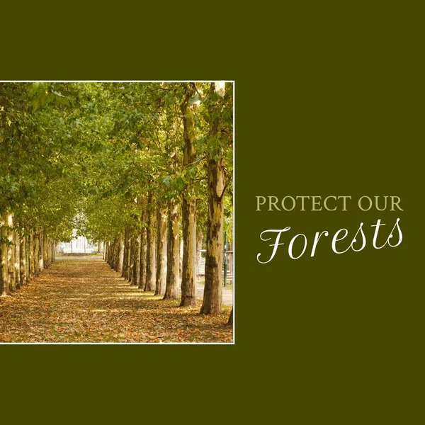 Composite Protéger Nos Forêts Texte Vue Panoramique Des Arbres Poussant — Photo