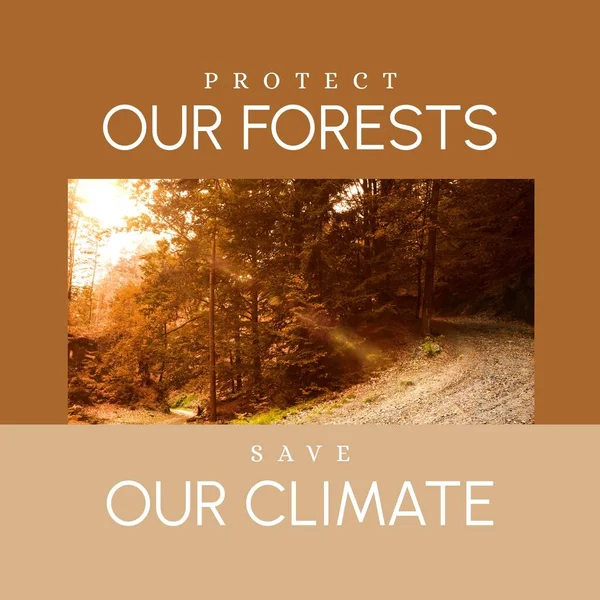 Kompozyt Ochrony Naszych Lasów Zapisać Nasz Tekst Klimatu Drzew Lesie — Zdjęcie stockowe